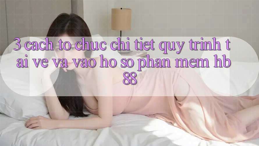 3. Cách tổ chức Chi Tiết Quy Trình Tải về Và Vào hồ sơ Phần mềm HB88 3. Cách tổ chức Chi Tiết Quy Trình Tải về Và Vào hồ sơ Phần mềm HB88