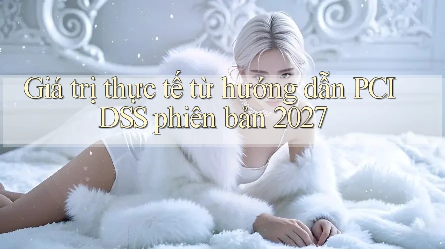 Giá trị thực tế từ hướng dẫn PCI DSS phiên bản 2027
