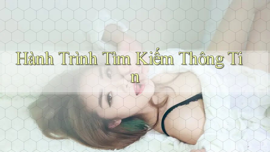 Hành Trình Tìm Kiếm Thông Tin Hành Trình Tìm Kiếm Thông Tin