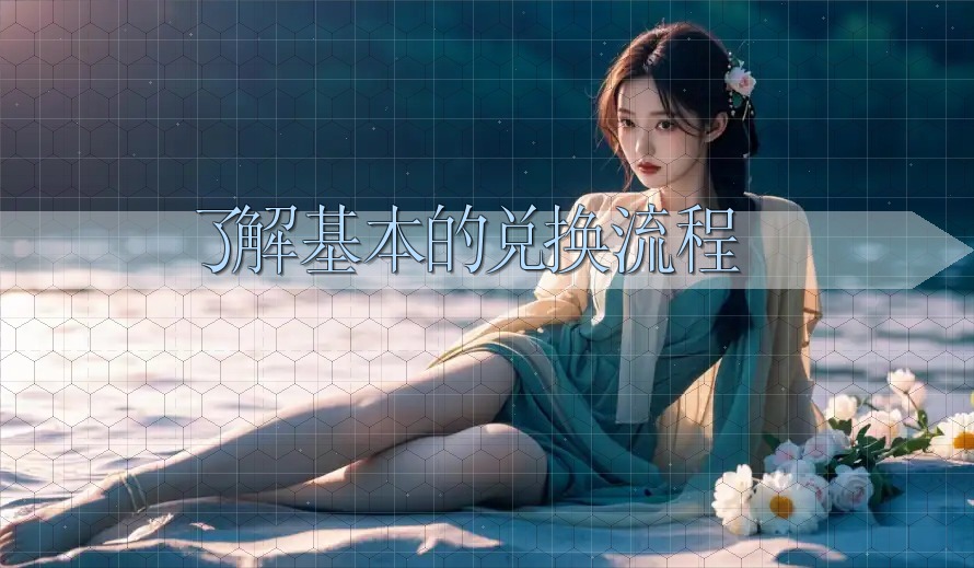 了解基本的兑换流程 了解基本的兑换流程