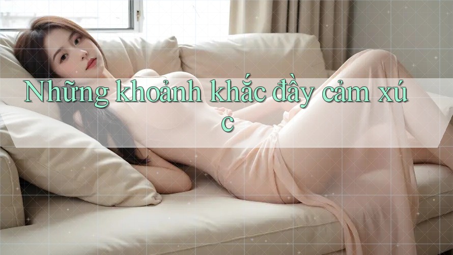 Những Khoảnh Khắc Đầy Cảm Xúc