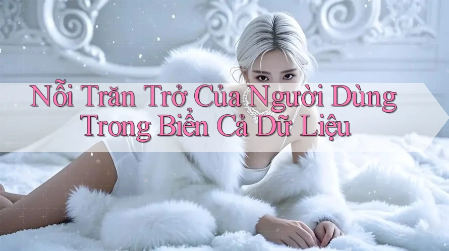 Nỗi Trăn Trở Của Người Dùng Trong Biển Cả Dữ Liệu Nỗi Trăn Trở Của Người Dùng Trong Biển Cả Dữ Liệu