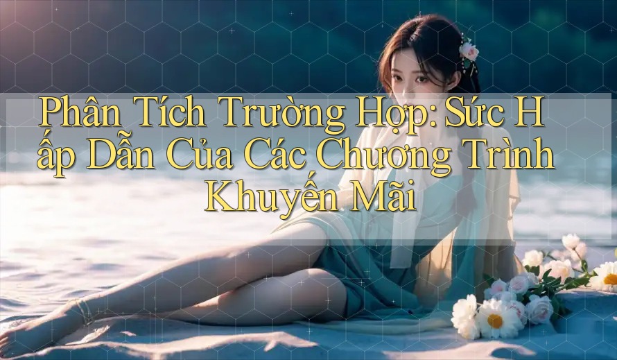 Phân Tích Trường Hợp: Sức Hấp Dẫn Của Các Chương Trình Khuyến Mãi